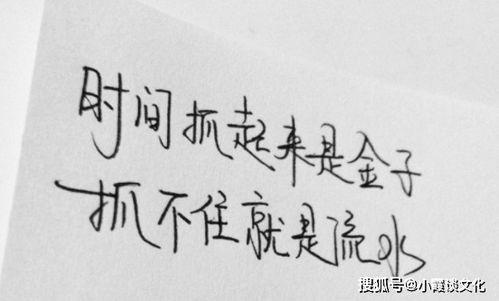 娱乐吃瓜酱经典语录短句,金句频出,笑料不断